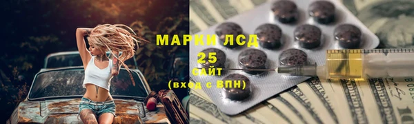 гидра Горнозаводск