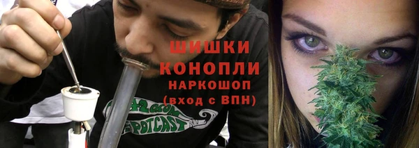 гидра Горнозаводск