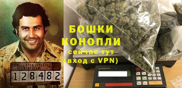 гидра Горнозаводск