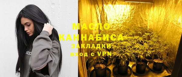 гидра Горнозаводск