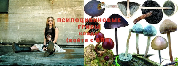 гидра Горнозаводск