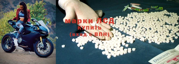гидра Горнозаводск