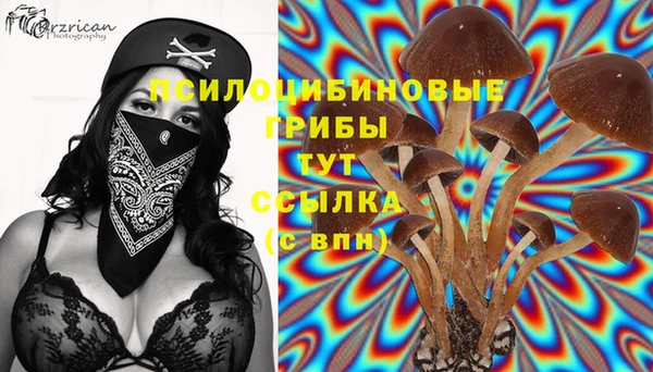 спайс Горно-Алтайск