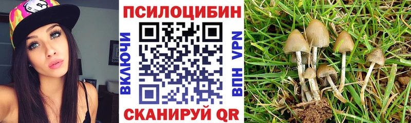 Купить  Урень  Псилоцибиновые грибы ЛСД 